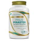 Pinus pinaster 60cps flora nativa