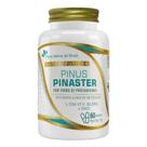 Pinus Pinaster Flora Nativa 60 Cápsulas Sabor Sem Sabor Pinus Pinaster Flora Nativa 60 Cápsulas Sabor Sem Sabor