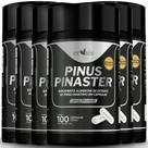 Pinus Pinaster Picno Procianidinas Extrato 6 Frascos 600 cáps