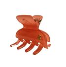 Piranha de Cabelo Bianca Madrid Coral Média 05 067 TR39
