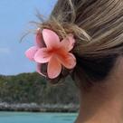 Piranha De Cabelo Flor Colorida Brilhante Presilha Grampo Para Feriado Praia Piscina 8CM Piranha De Cabelo Flor Colorida Brilhante Presilha Grampo Para Feriado Praia Piscina 8CM
