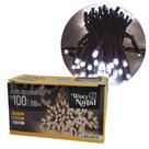 Pisca LED Branco Frio Sequencial 100 Lâmpadas 8 Funções Fio Verde 8 Metros 127V Pisca LED Branco Frio Sequencial 100 Lâmpadas 8 Funções Fio Verde 8 Metros 127V