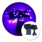 Pisca Luz Natal Led 10 metros 110V Decoração Fio Verde