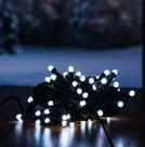 Pisca Pisca Led 100 Lâmpadas Branco Frio - Fio Verde 10mts Branco Frio