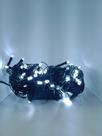 Pisca Pisca LED com 100 Lâmpadas Branco - 10 Metros - 110V ( 8 FUNÇÕES )
