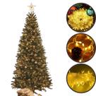 Pisca Pisca Led Decoração Natal 4 Funções 100 Leds 9m 220v -