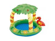 Piscina Inflavel 45lt Tropical C/Cober 1965 Mor