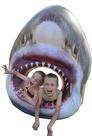 Piscina inflável Float Spatender Jumbo Shark Head
