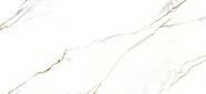 Piso Delta 60 X 120 Porcelanato Ret Vene