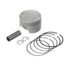Pistao Kit C/anel Rik Premium Cg 150/bros 150 2006 0.25 F016
