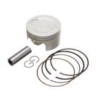 Pistao Kit C/anel Rik Premium Fazer 250 1.00 F016