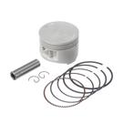 Pistao Kit C/anel Rik Premium Xt 225 2.00 F016