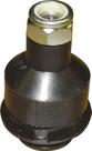 Pivo 307 / c4 -- Pivo 307 / c4 --