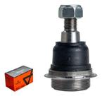 Pivô Dianteiro Jumpy Scudo Expert Novo Original Viemar 503492