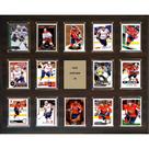 Placa C&I Collectables NHL Alex Ovechkin 14 cartas colecionáveis