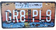 Placa Carro Antiga Vintage Retro Metal Decor Usa Michigan Gr