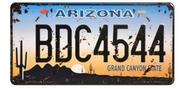 Placa Carro Decorativa Enfeite Arizona Mdf Madeira