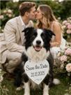 Placa Casamento Victare Save The Date - Dog