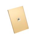 PLACA COM 1 CONECTOR RJ11 TOK GLASS DOURADO 4x2