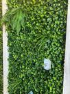 Placa De Grama Artificial Para Decoração De Parede Jardim