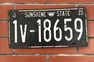 Placa de licença vintage retro Sunshine State para decoração de parede