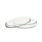 Placa De Petri Vidro Borossilicato 3.3 150x20mm Precision