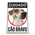 Placa de Sinalização Cachorro Vira Lata Cão Bravo Sem Raça Definida Totó 20x30cm