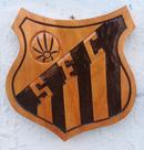 Placa de time