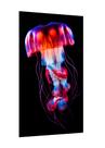 Placa decorativa - arte marinha água-viva jellyfish Placa decorativa - arte marinha água-viva jellyfish
