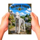 Placa Decorativa Bedlington Terrier Cachorro Pet MDF Placa Decorativa Bedlington Terrier Cachorro Pet MDF