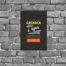 Placa Decorativa Cachaça Não É Água Não 18x27cm