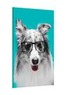 Placa decorativa - cachorro de óculos - animais