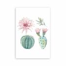 Placa Decorativa Cacto Floridos MDF 20x30cm Placa Decorativa Cacto Floridos MDF 20x30cm