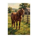 Placa Decorativa Cavalo Marrom No Pasto Interior 15x21cm