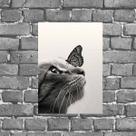 Placa Decorativa Foto Gato Com Borboleta 18x27cm Placa Decorativa Foto Gato Com Borboleta 18x27cm