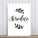 Placa Decorativa Frases de Motivação Acredite 20x30cm