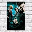 Placa Decorativa / Harry Potter (28x20cm) - HP09