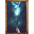 PLACA DECORATIVA - Harry Potter - Varinha Mágica