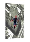 Placa decorativa - homem aranha spider-man - marvel Placa decorativa - homem aranha spider-man - marvel