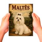 Placa Decorativa Maltês Cachorro Pet MDF