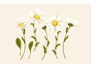 Placa Decorativa MDF Daisy 30x44cm