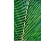 Placa Decorativa MDF Folha 30x44cm