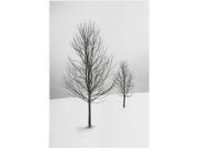 Placa Decorativa MDF Inverno 30x44cm