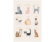Placa Decorativa MDF Pet Lovers Gatos 20x29cm