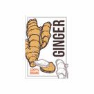 Placa Decorativa MDF Tempero Frase Ginger Organic 30x40cm