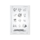 Placa Decorativa MDF Tipos de Massas Italianas 20x30cm