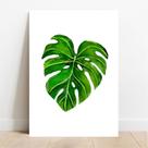 Placa Decorativa Monstera Placa Decorativa Monstera
