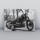 Placa Decorativa moto 115
