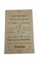 Placa Decorativa Oração Ave Maria MDF 20x30 Natural