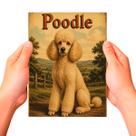 Placa Decorativa Poodle Cachorro Pet MDF